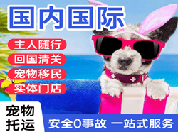 西庆航空货运国际宠物托运 【国